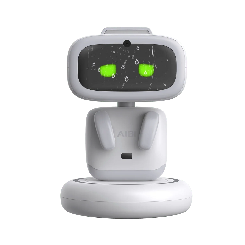 Gift store EMO Ai Robot
